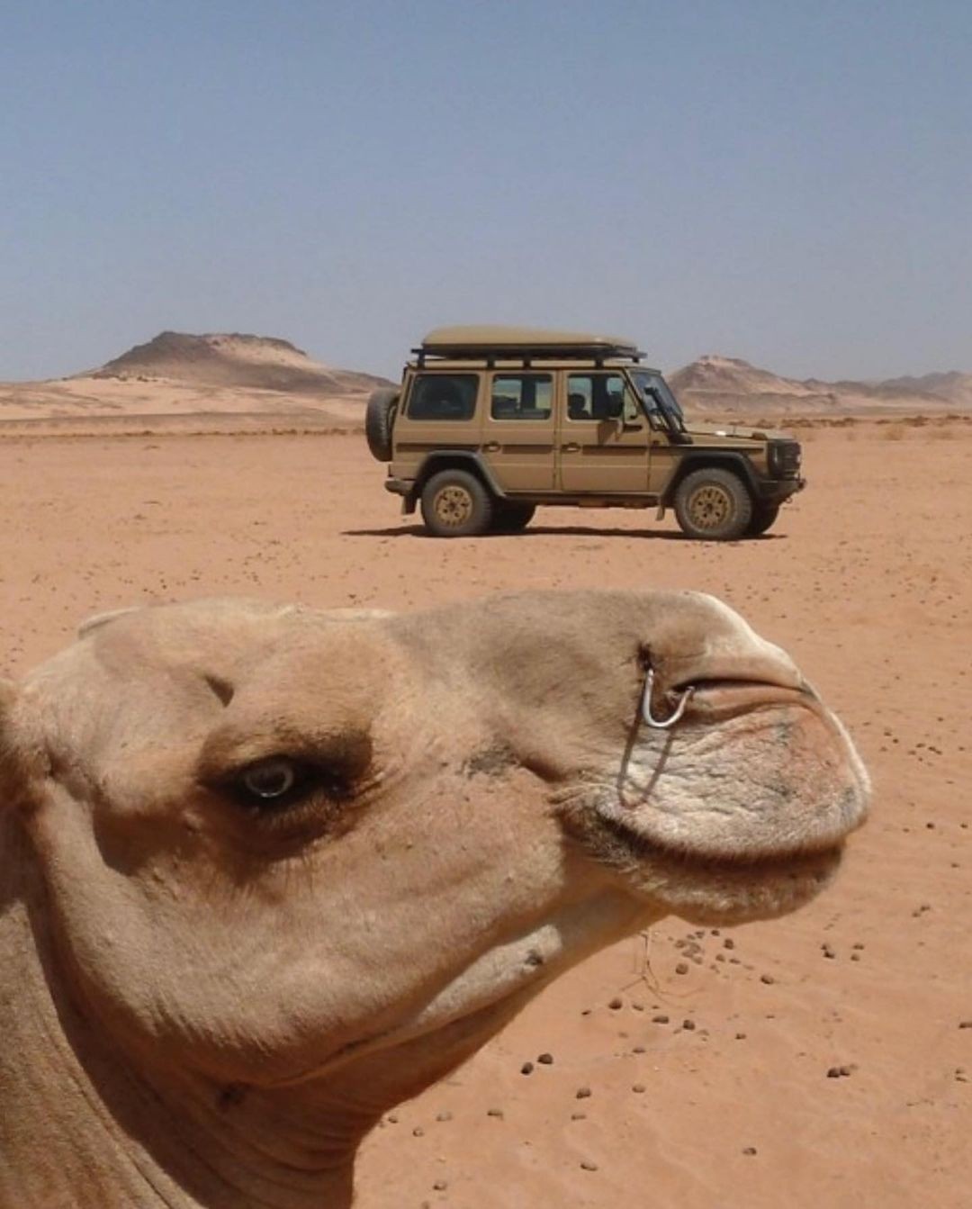 19faa048-5b16-4bb0-ad03-00001a11a584