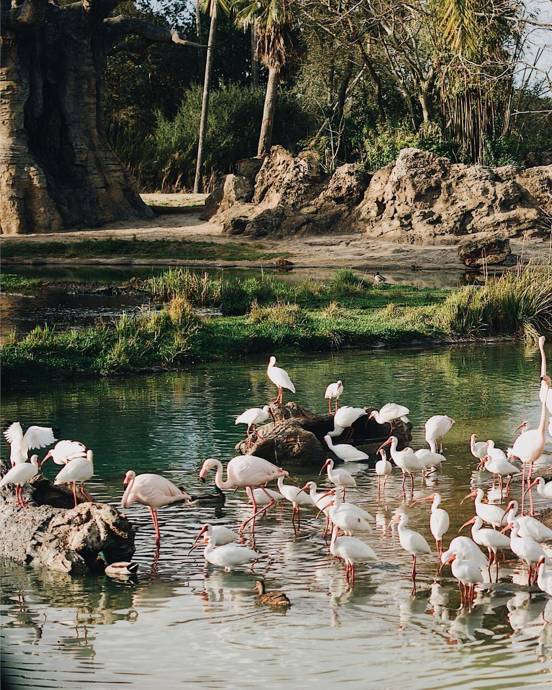 b036cc18-56ef-4655-9ae6-9cf62827dffb