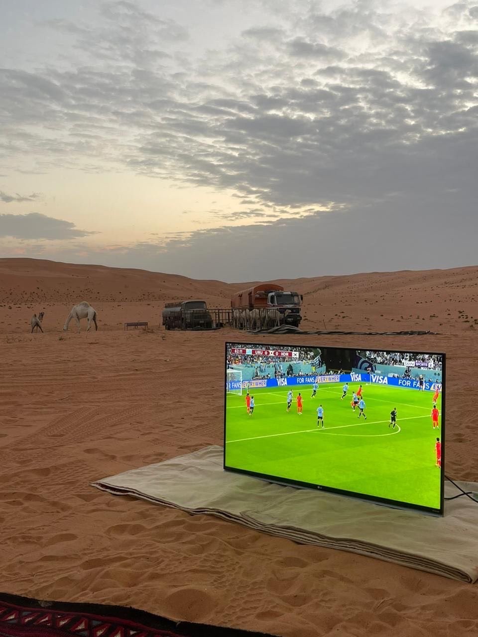 ebd99984-1032-4c0a-b8ed-d00153bcd2b4